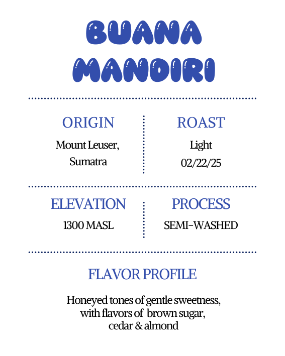 Buana Mandiri
